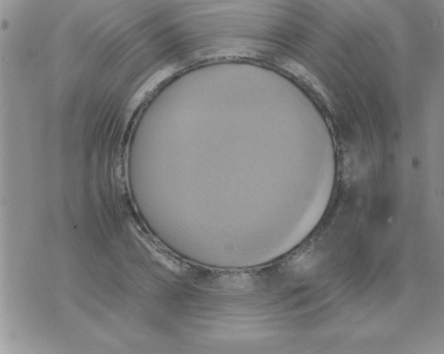 X0000075890882200610062050