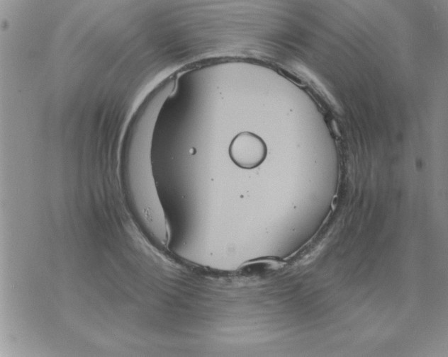 X0000075890884200610062050