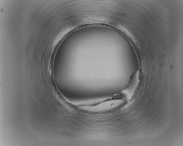 X0000075890885200610062050