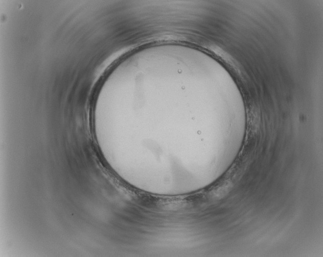 X0000075890886200610062050