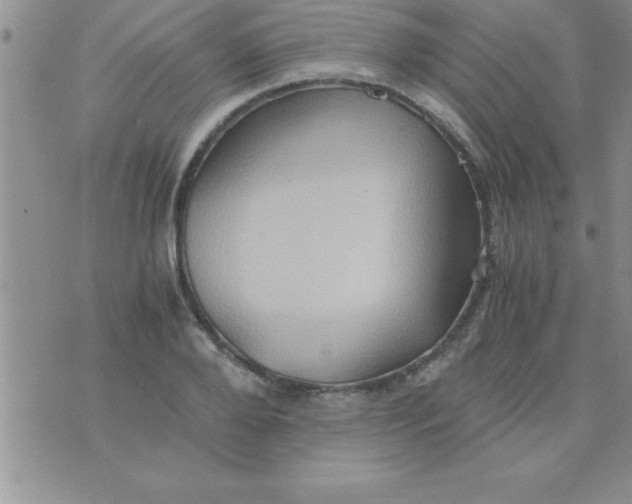 X0000075890888200610062050