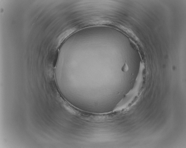 X0000075890889200610062050