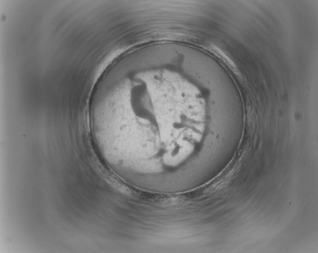 X0000075890891200610062050