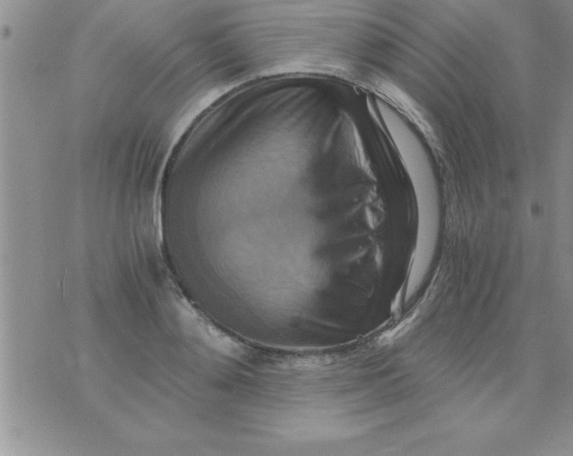 X0000075890892200610062050