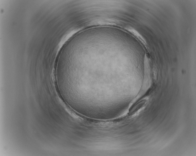 X0000075890893200610062050