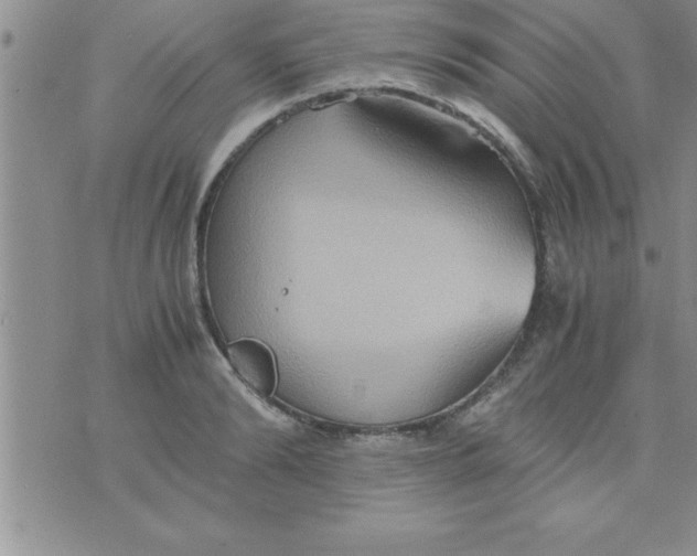 X0000075890894200610062050