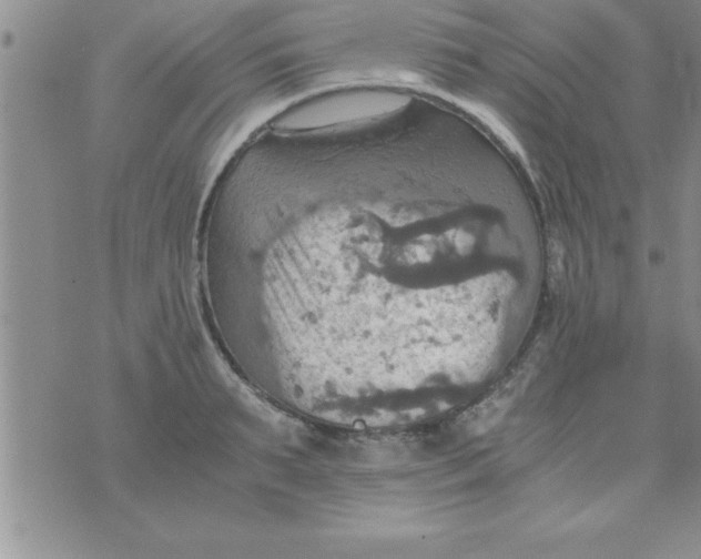 X0000075890895200610062050