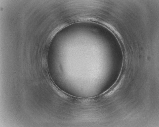 X0000075890897200610062050