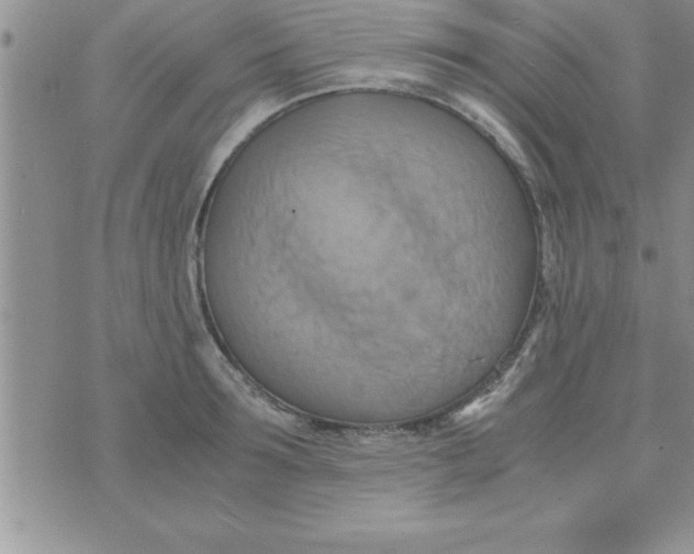 X0000075890899200610062050