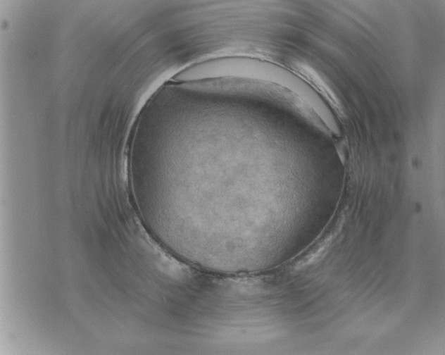 X0000075890900200610062050