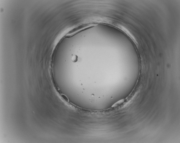 X0000075890901200610062050