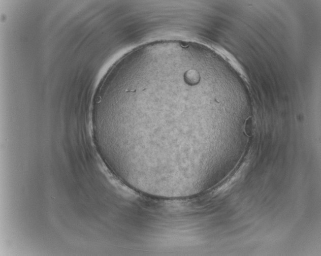 X0000075890904200610062050