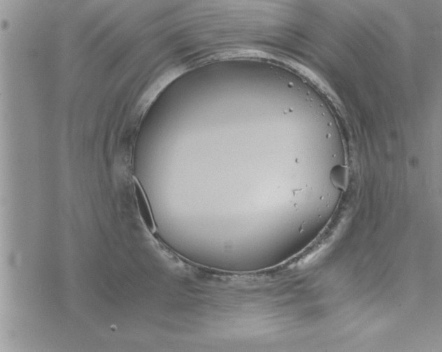 X0000075890905200610062050