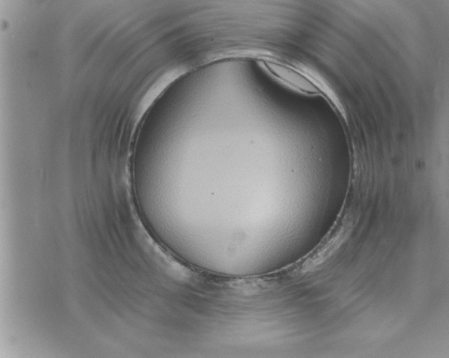 X0000075890906200610062050