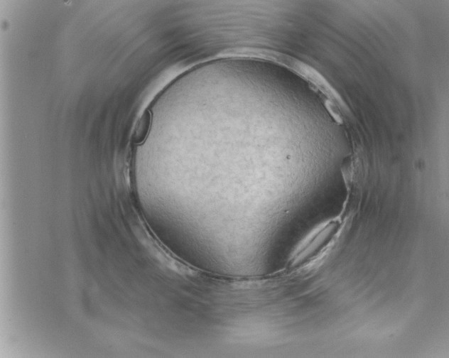 X0000075890908200610062050