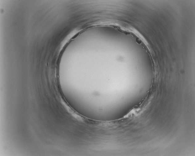 X0000075890909200610062050