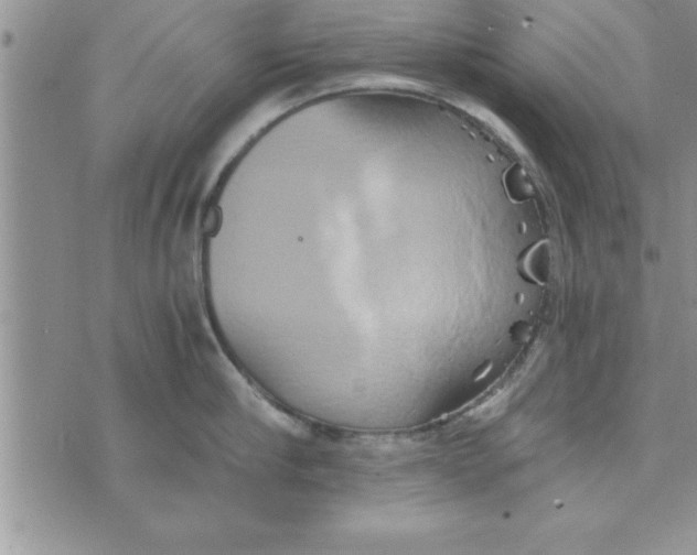 X0000075890910200610062050