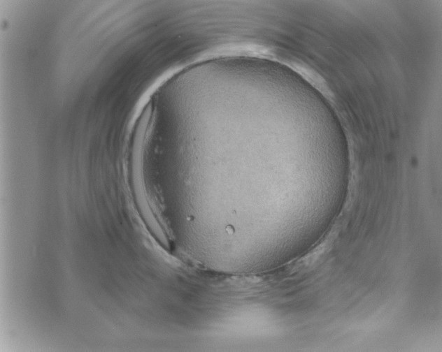 X0000075890912200610062050