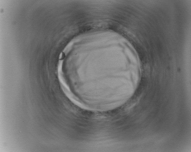 X0000075890913200610062049