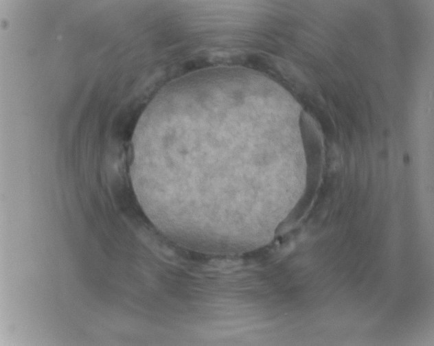 X0000075890914200610062049