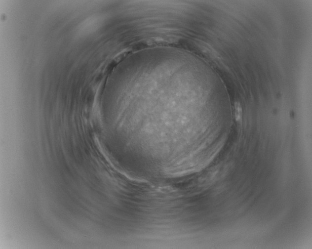 X0000075890915200610062049