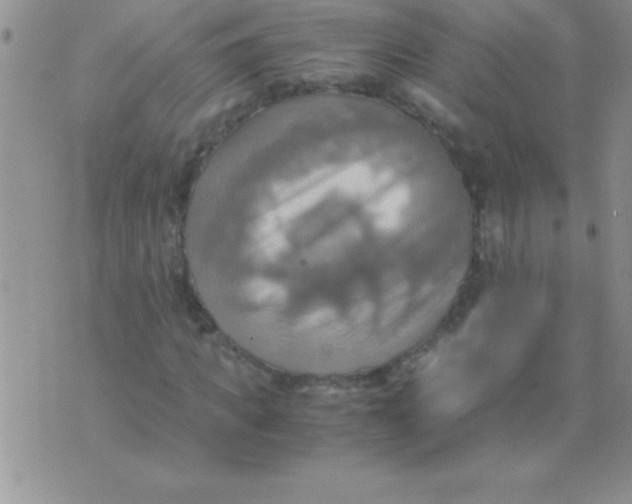 X0000075890917200610062049