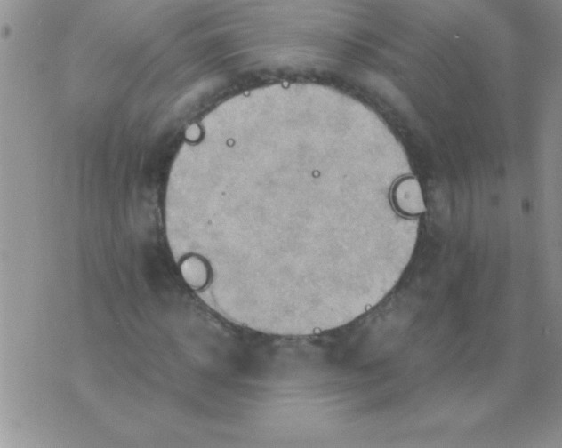 X0000075890918200610062049