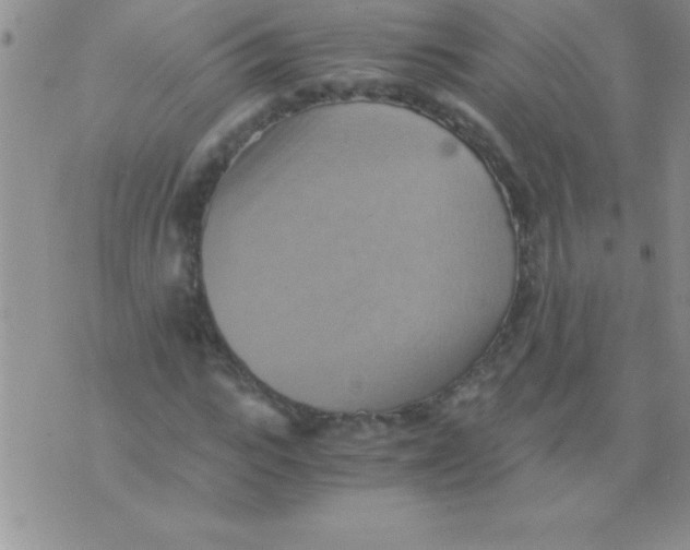 X0000075890919200610062049