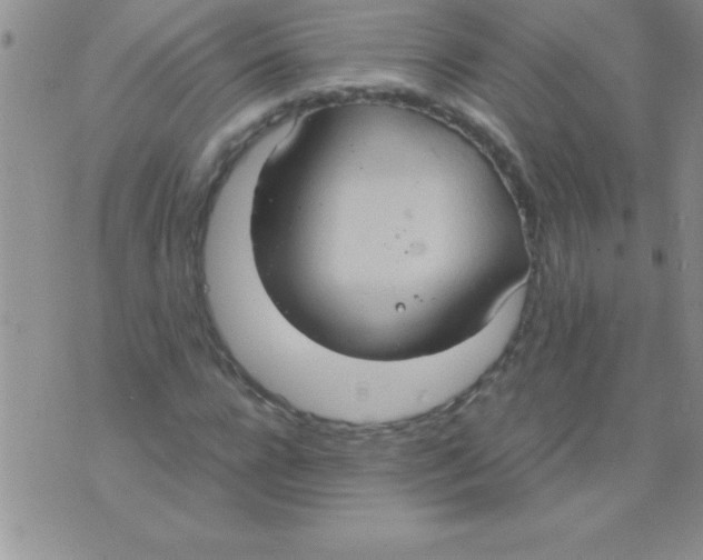 X0000075890920200610062049