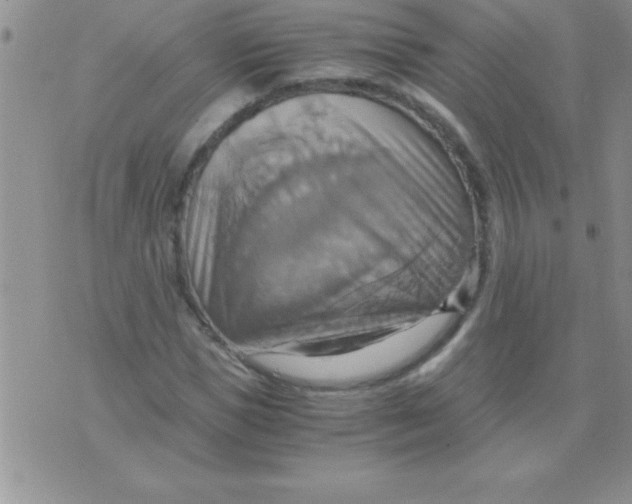 X0000075890921200610062049