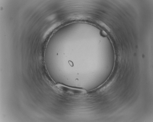 X0000075890922200610062049