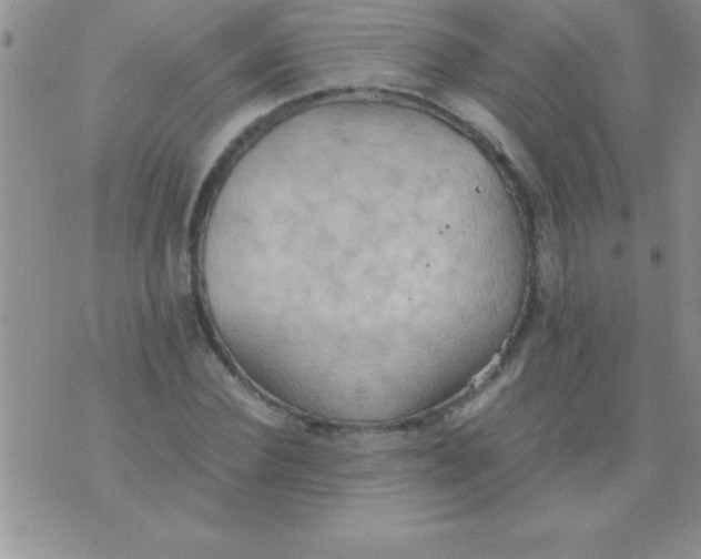 X0000075890924200610062049