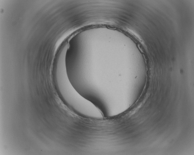 X0000075890928200610062049