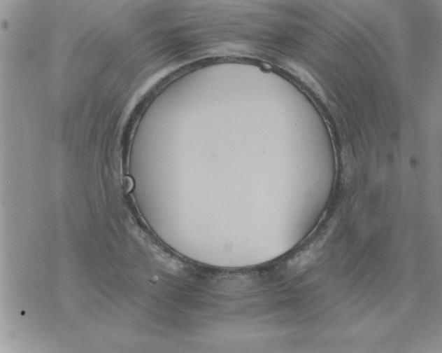 X0000075890931200610062049