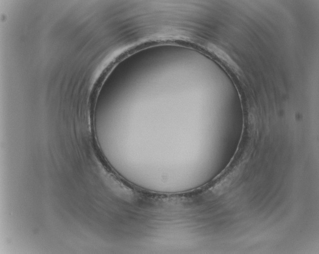 X0000075890934200610062049