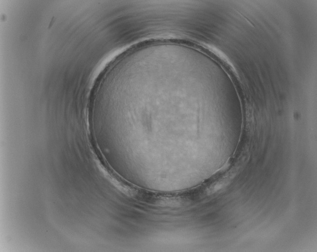 X0000075890935200610062049