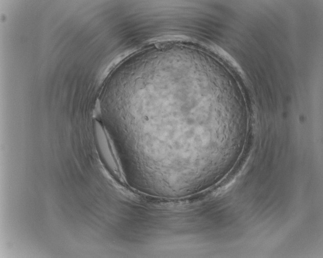 X0000075890937200610062049