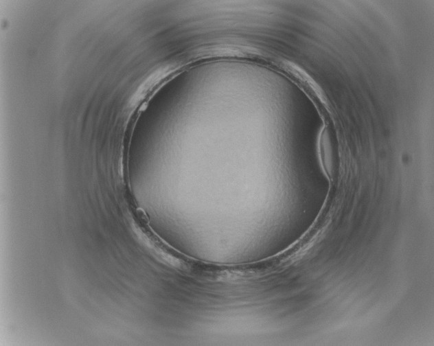 X0000075890938200610062049