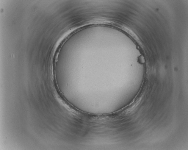 X0000075890939200610062049