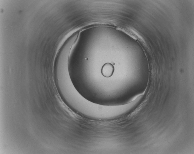 X0000075890940200610062049