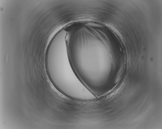 X0000075890941200610062049