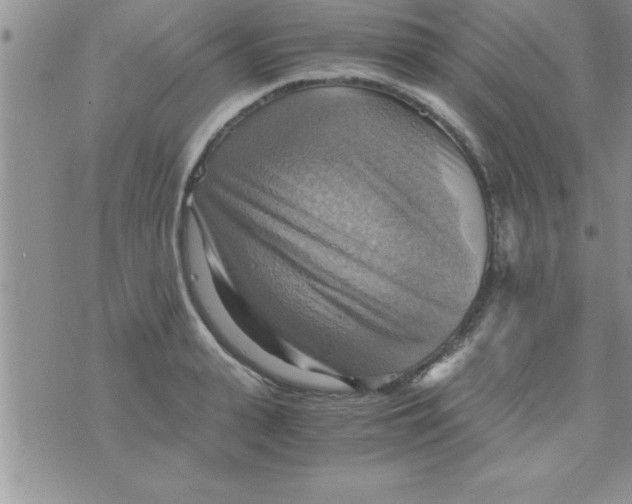 X0000075890943200610062049