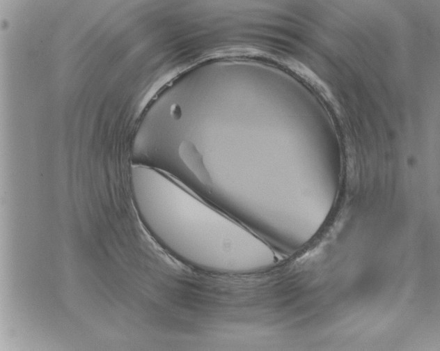 X0000075890945200610062049