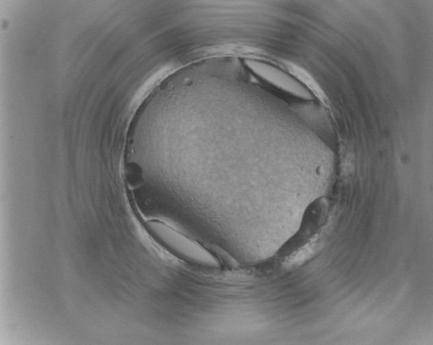 X0000075890946200610062049