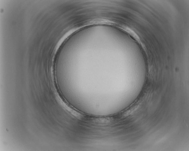 X0000075890947200610062049