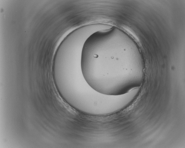 X0000075890948200610062049