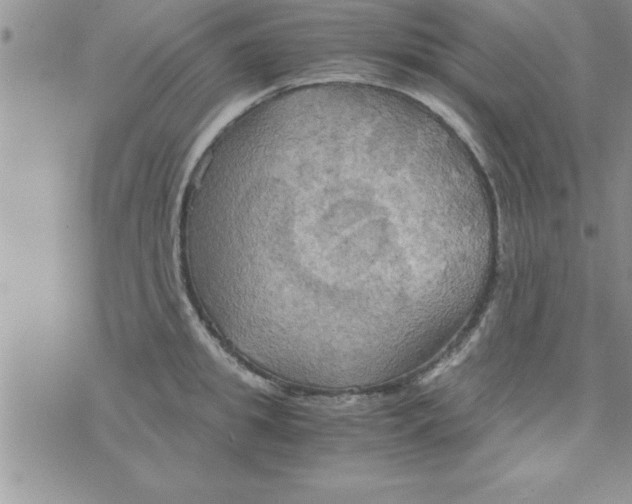 X0000075890949200610062049