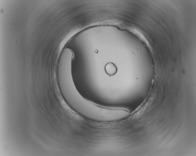 X0000075890952200610062049