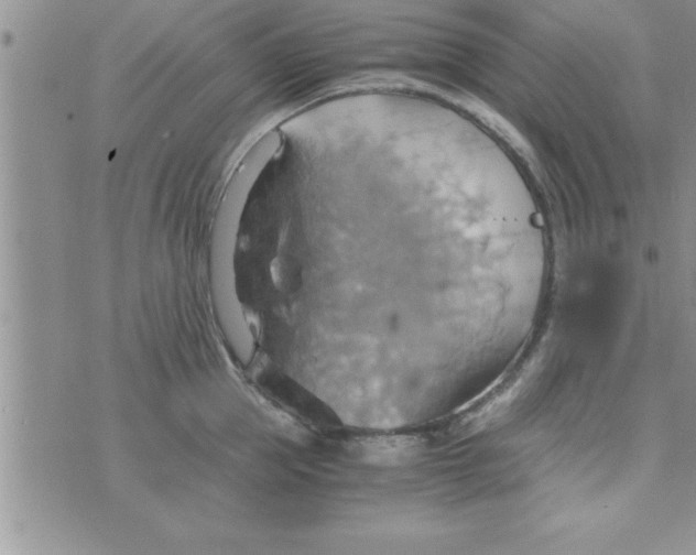 X0000075890953200610062049