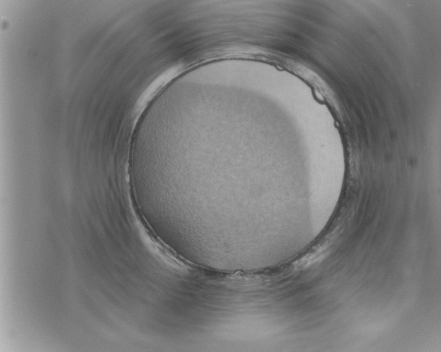 X0000075890954200610062049